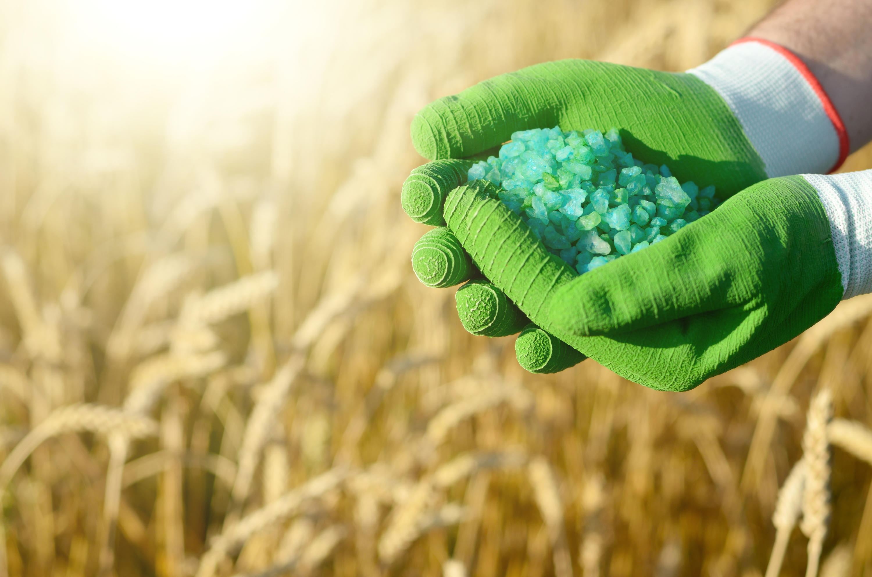 Maire Wins €1.3 Billion Fertilizer Plant Contract in Argentina