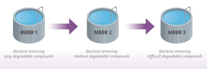 eXeno micropollutant removal process