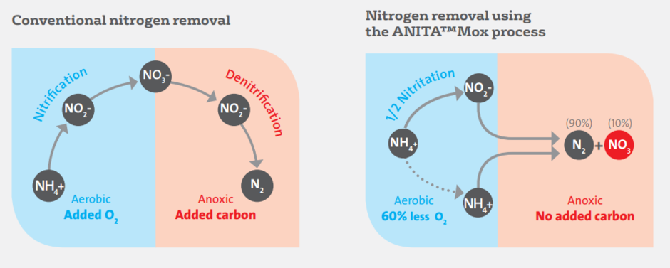Nutrient removal article - diagram