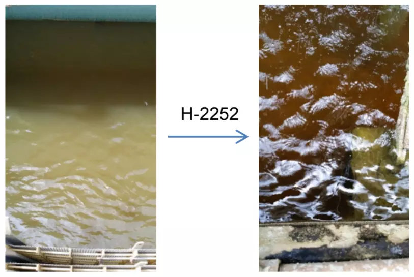 Celanese CS - Hyrdrex 2252